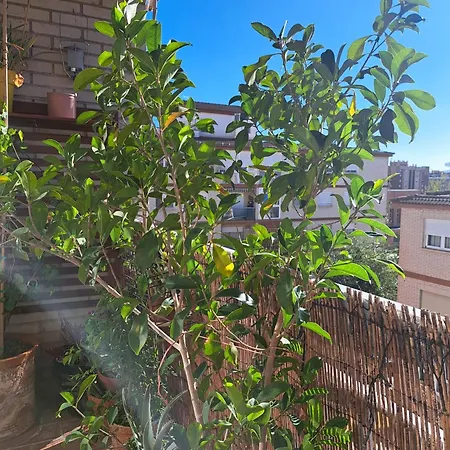 Apartman Gran Familiar Granada